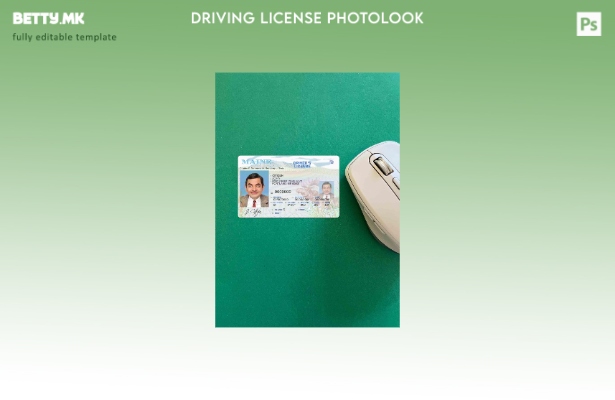 модерен стил САД Мејн државната возачка дозвола photolook ПРЕДЕН шаблон